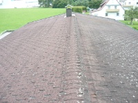 Dach - Sanierung