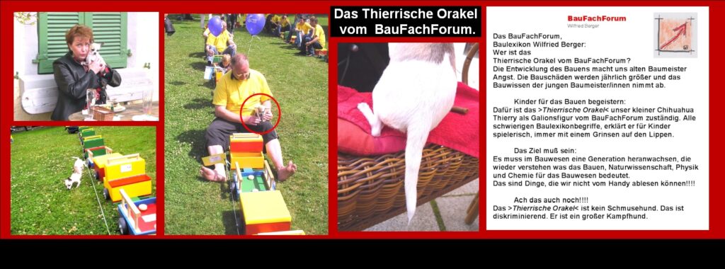 Kindern das Bauen näher bringen mit dem BauFachForum: