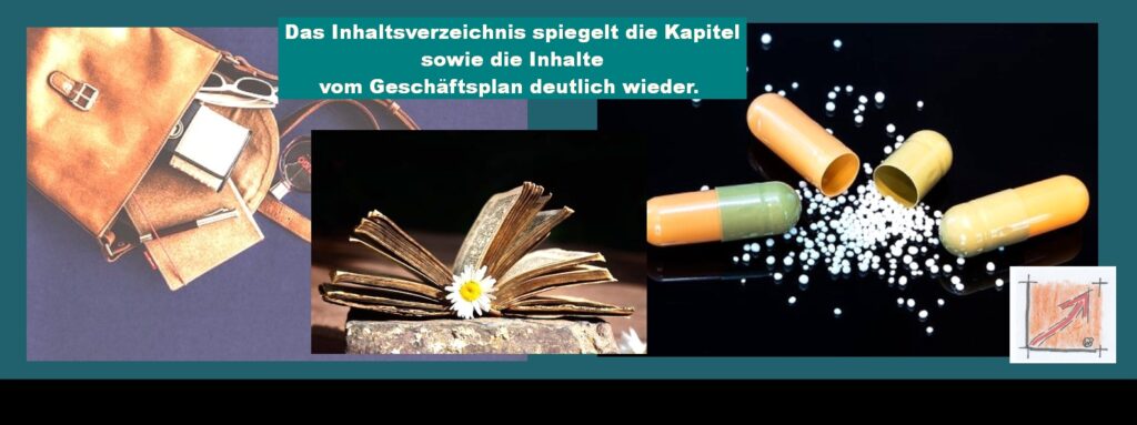 Erste gewonnene Preisarbeit Handwerk: Das Inhaltsverzeichnis eines jeden Geschäftsplan ist das A und O:  Hier im Inhaltsverzeichnis sind auch alle Pos. Angegeben, die Ihr für jeden Geschäftsplan benötigt.