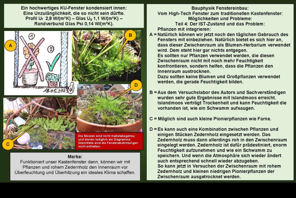 Bauschäden Fenstereinbau Bauphysik Natur: Das Trockenlegen des Innenraums.