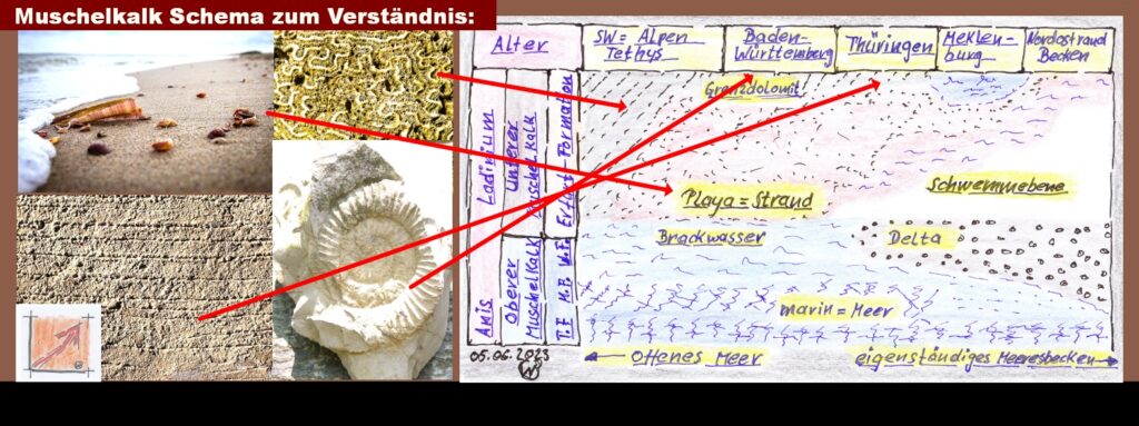 Baulexikon Muschelkalk Putz: Das Bildschema soll die Gebietslagen verdeutlichen: