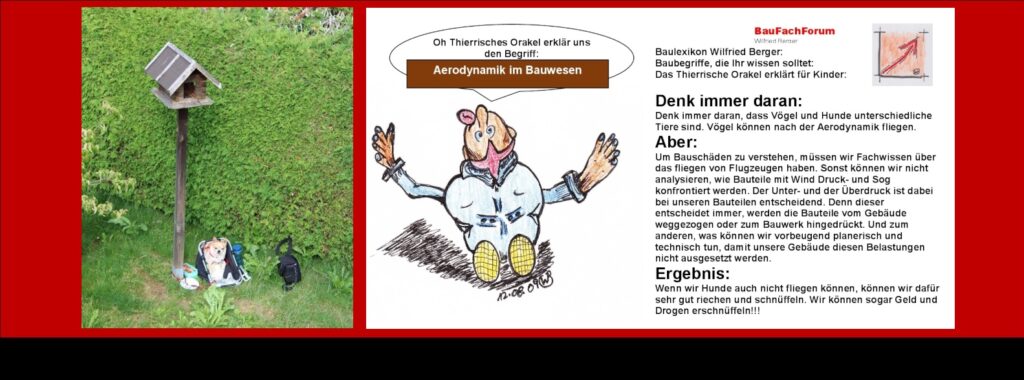 Aerodynamik im Bauwesen BauFachForum Baulexikon gibt es Flughunde Hunde