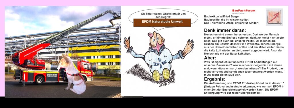 BauFachForum-Umwelteinsatz: Tierisches Orakel Thierry deckt den EPDM-Entsorgungs-Wahnsinn auf. Chihuahua das Thierrische Orakel vom BauFachForum, sitzt aufmerksam vor einem roten Feuerwehrfahrzeug bei einem realen Umwelteinsatz und symbolisiert die wissenschaftliche Naturstudie des BauFachForums zur biologischen Verwertung von EPDM-Dichtungsbahnen als autarke Öko-Batterie im Sandbett.