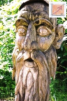 Masken Holzbildhauer Schwäbisch Alemannische Fasnet, Holzkunst Leben vom Holzbildhauer, BauFachForum, Baulexikon Wilfried Berger Masken Holzbildhauer Schwäbisch Alemannische Fasnet, Holzkunst Leben vom Holzbildhauer, BauFachForum, Baulexikon Wilfried Berger