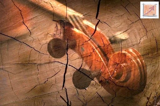 Masken Holzbildhauer Schwäbisch Alemannische Fasnet, Holzkunst Leben vom Holzbildhauer, BauFachForum, Baulexikon Wilfried Berger Masken Holzbildhauer Schwäbisch Alemannische Fasnet, Holzkunst Leben vom Holzbildhauer, BauFachForum, Baulexikon Wilfried Berger