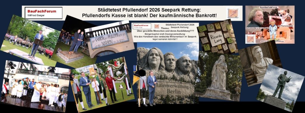 Laienpolitik: Millionenentscheidungen ohne kaufmännische Fachkompetenz